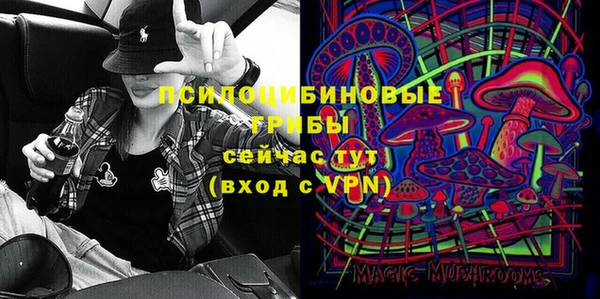 ПСИЛОЦИБИНОВЫЕ ГРИБЫ Алексеевка