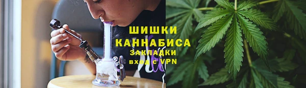 дурь Алзамай